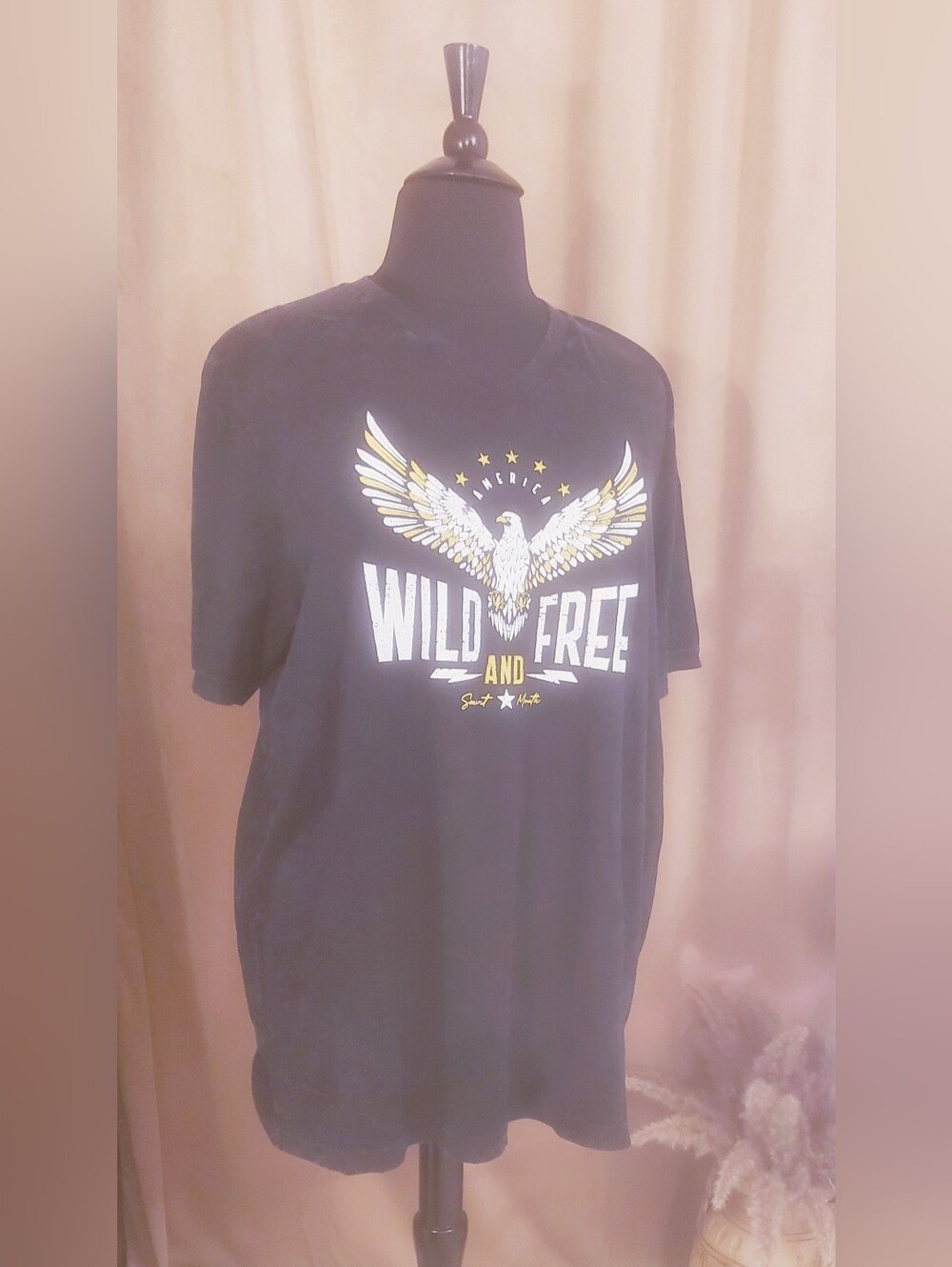 Wild and Free Eagle Graphic Tee Dress
